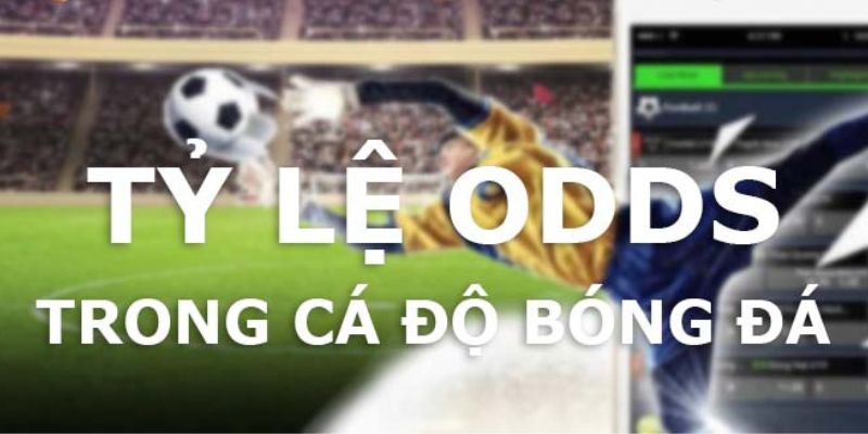 Odds là gì? Khám phá 4 loại tỷ lệ Odds phổ biến cùng OK9 2 4 loại Odds được sử dụng nhiều nhất trong cá độ bóng đá